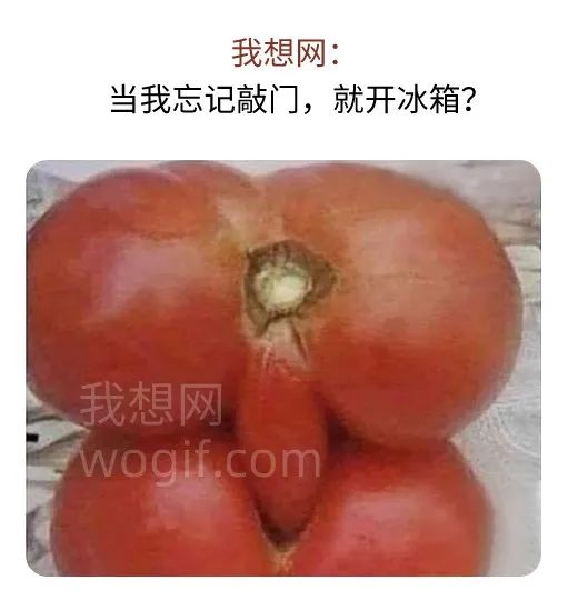 當我開冰箱，忘記敲門，倆西紅柿干起來了...